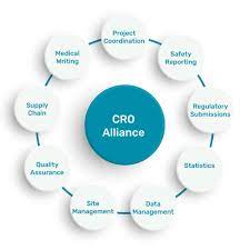 Why Do Companies Use Cro?